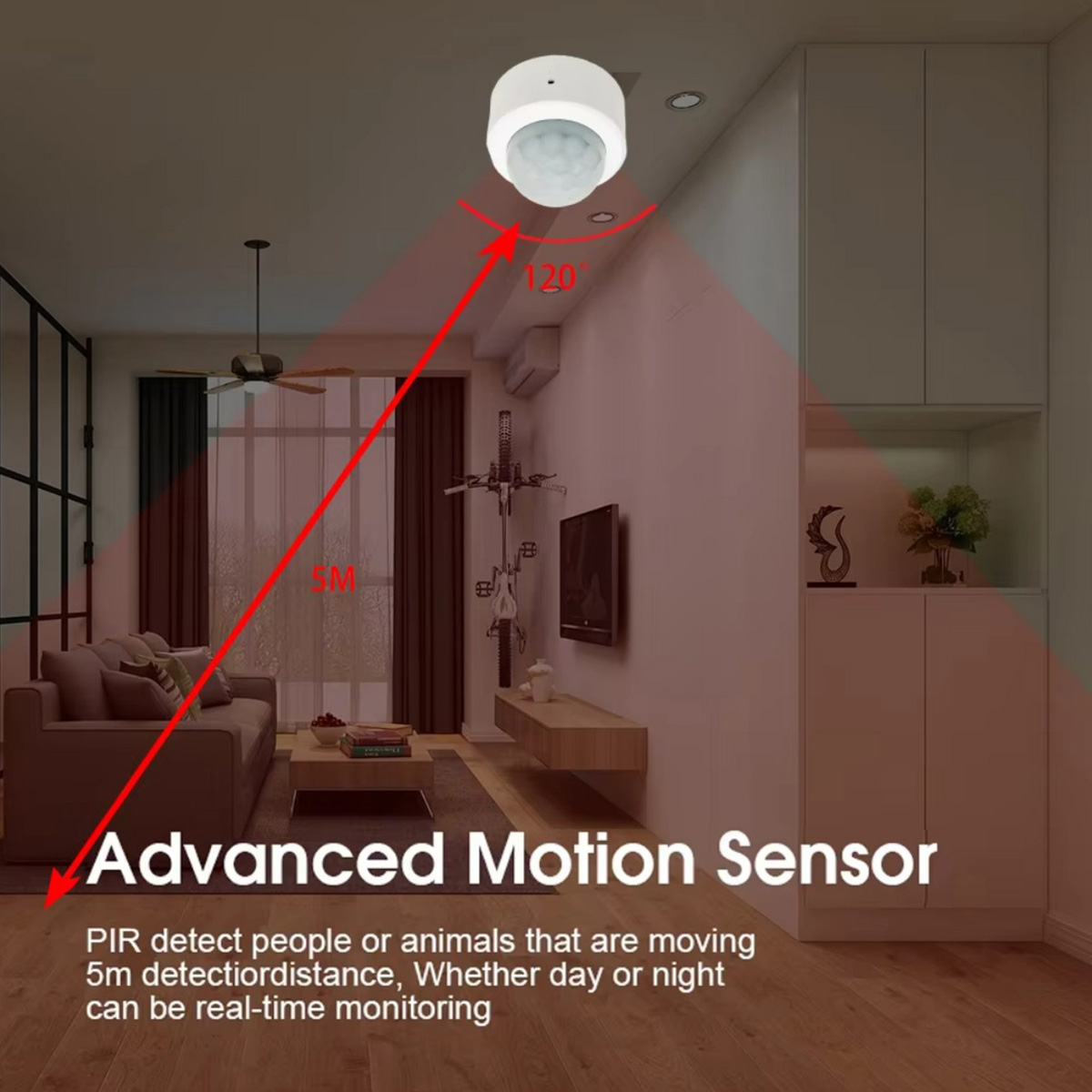 Zigbee PIR Motion Sensor Human - Home Security Tools のレビューと価格
