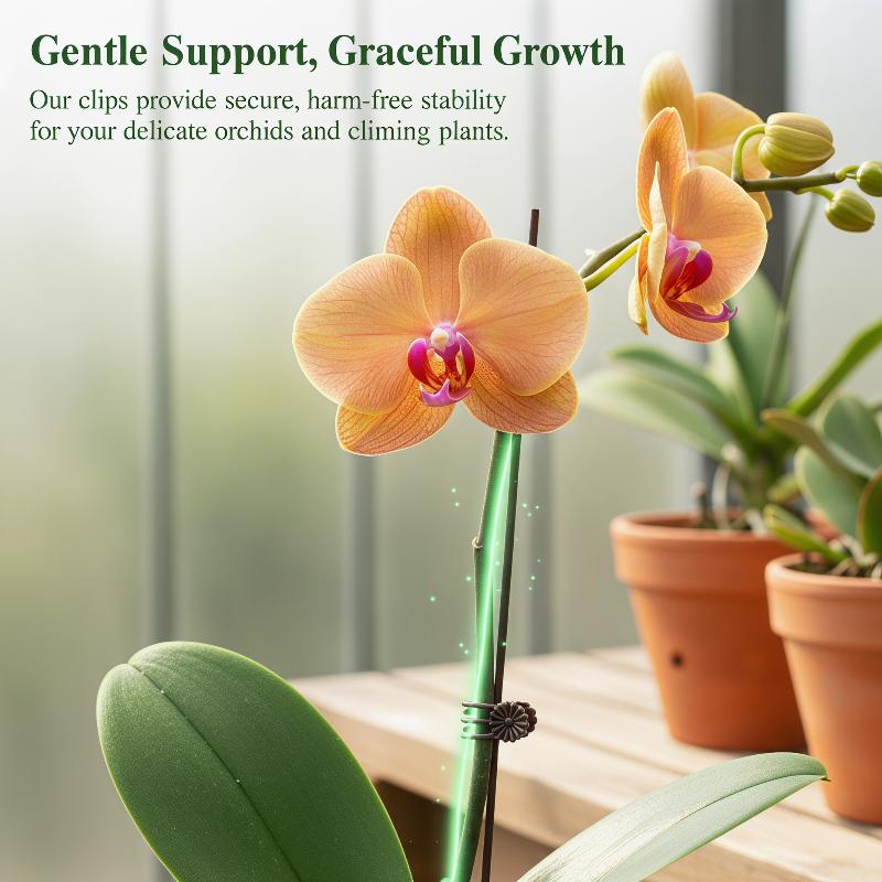 50Pcs Plant Fixed Clip Butterf - Home Security Tools のレビューと価格