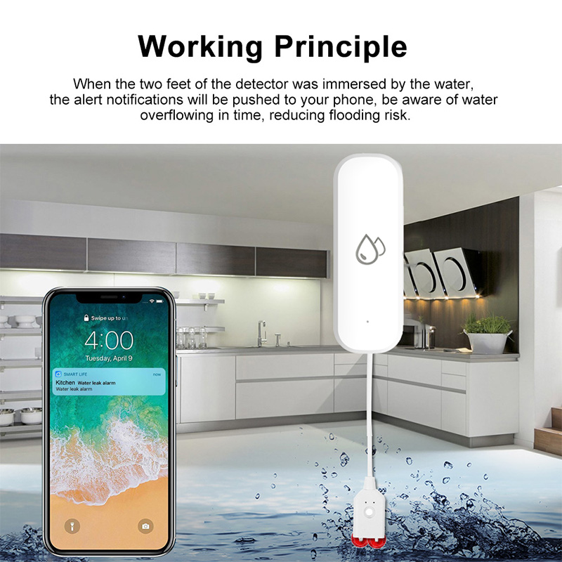 Tuya WiFi Water Leakage Alarm  - Home Security And Monitoring のレビューと価格