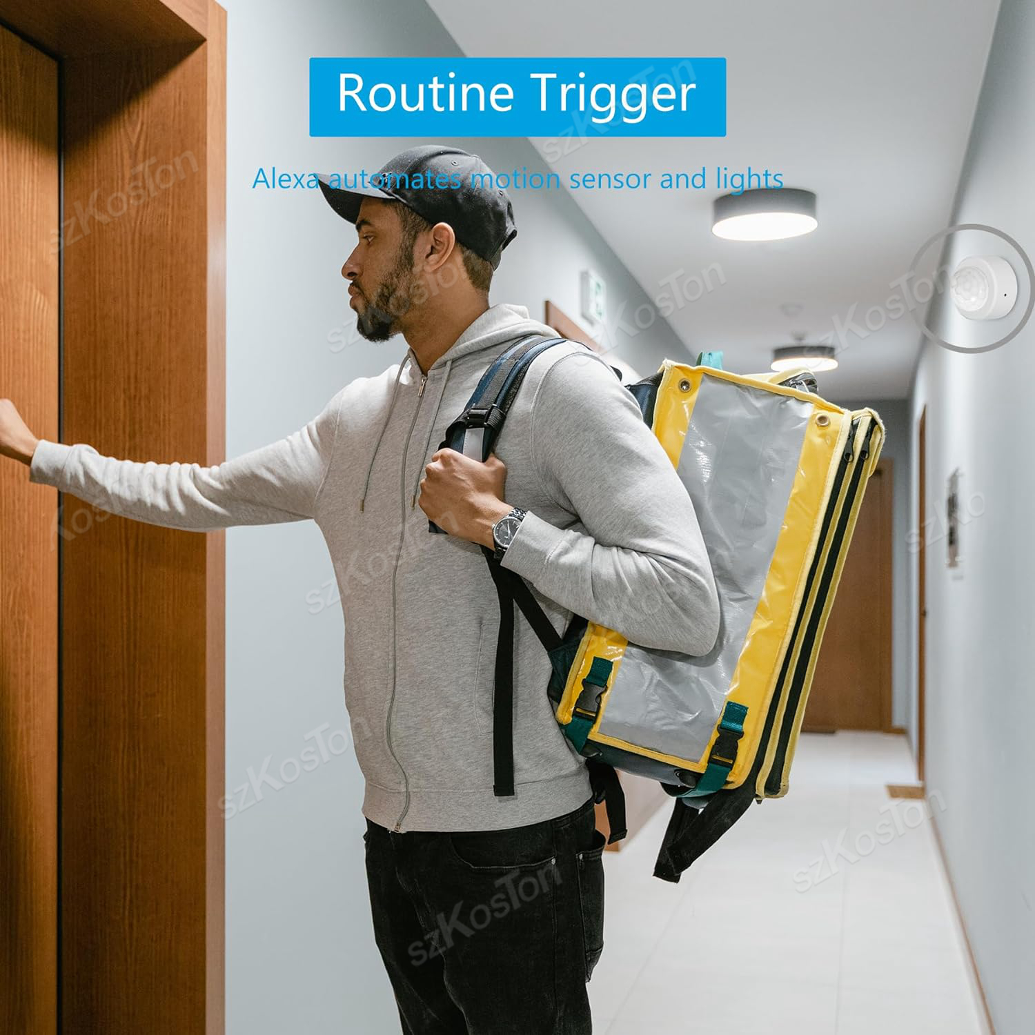 eWelink APP Zigbee Motion Sens - Home Security Tools のレビューと価格