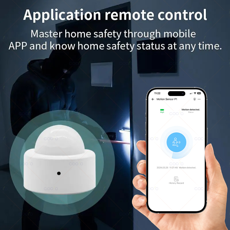 Zigbee Mini PIR Motion Sensor  - Home Security Tools のレビューと価格